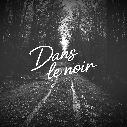 Dans le noir cover art by iWalov